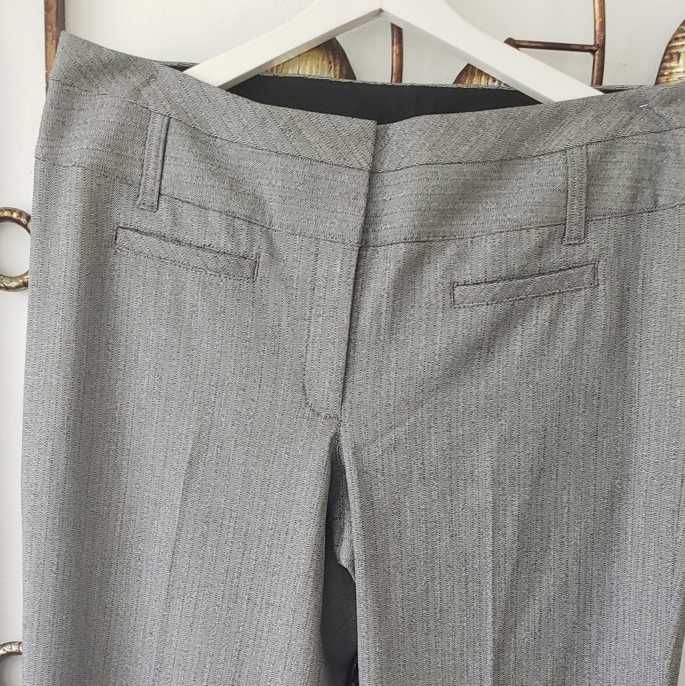 Pant